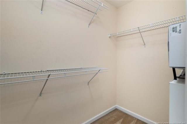 2495 Ohara Dr, Raeford, NC 28376 - walk in closet with carpet floors