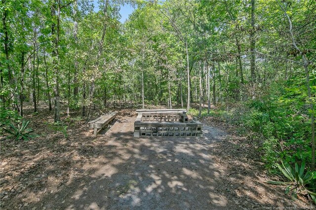 view of property's community with a wooded view