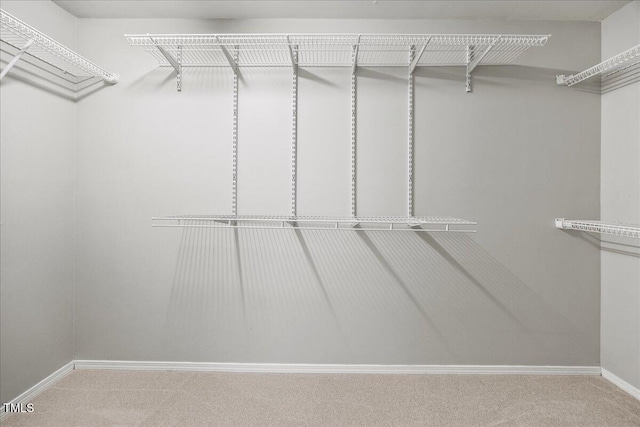 8404 Split Stone Ln, Raleigh, NC 27613 - walk in closet with carpet floors