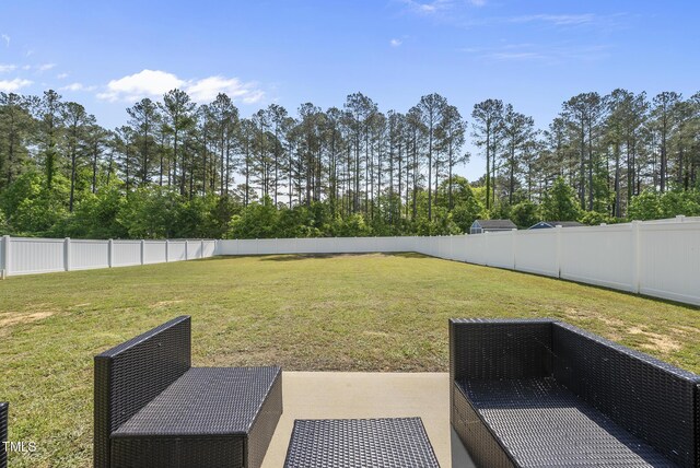 view of yard featuring a patio and a fenced backyard