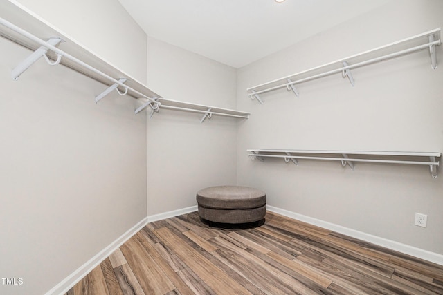 walk in closet featuring wood finished floors