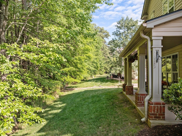 view of yard