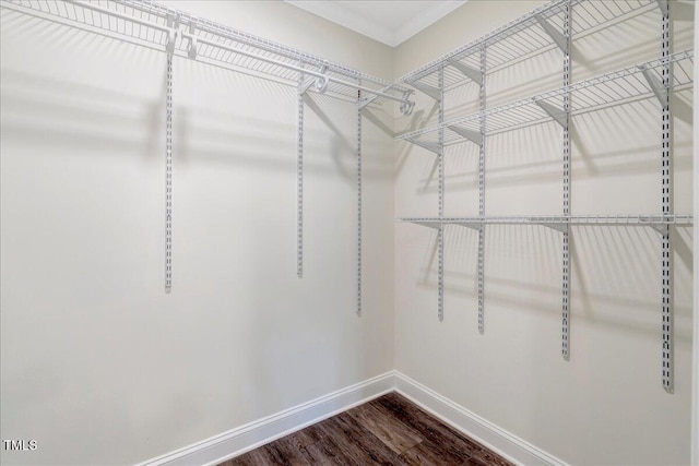 spacious closet featuring dark wood-style floors