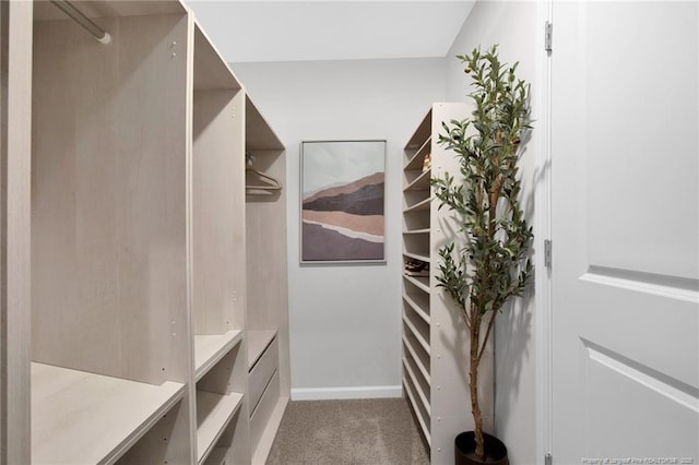566 Carolina Church Rd, Saint Pauls, NC 28384 - spacious closet featuring carpet flooring