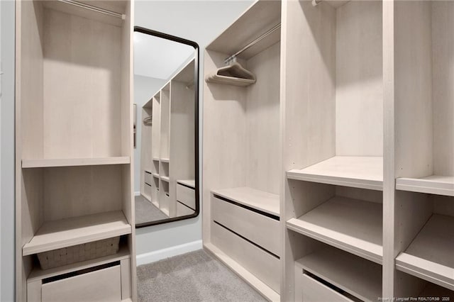 566 Carolina Church Rd, Saint Pauls, NC 28384 - spacious closet with carpet flooring