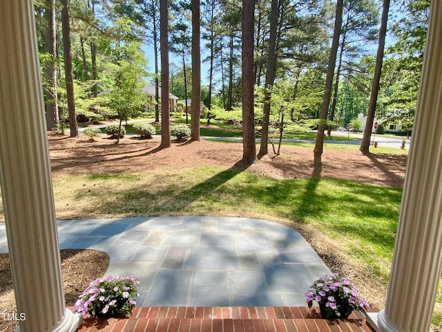 view of yard featuring a patio area