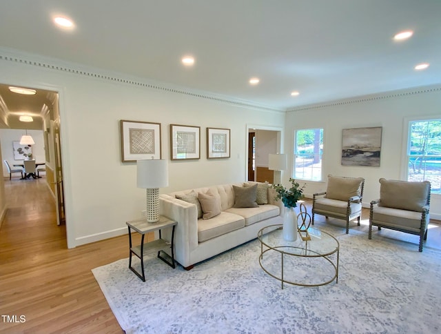 living area featuring crown molding, light wood finished floors, baseboards, and a healthy amount of sunlight