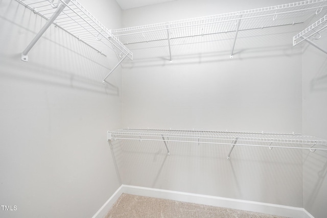 107 Cottage Ct, Youngsville, NC 27596 - spacious closet featuring carpet flooring