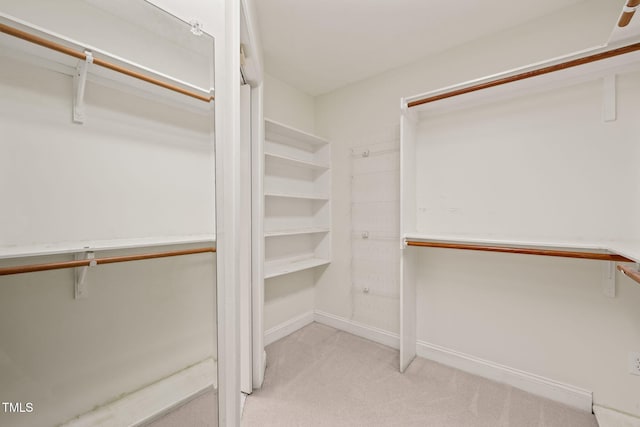 walk in closet featuring carpet flooring