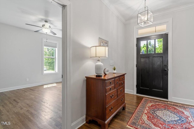 foyer entrance featuring baseboards, ornamental molding, ceiling fan with notable chandelier, and dark wood-style floors