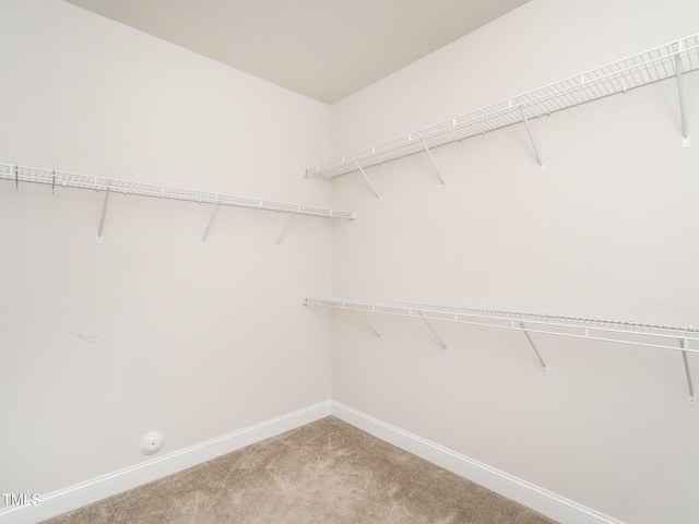 walk in closet featuring light carpet