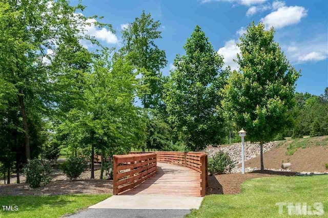 425 Shadow Falls Dr, Wendell, NC 27591 - view of home's community
