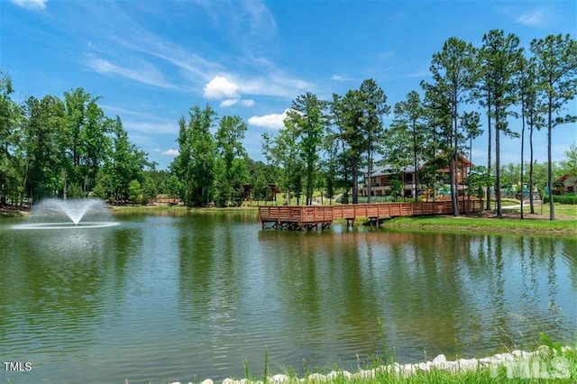 425 Shadow Falls Dr, Wendell, NC 27591 - water view