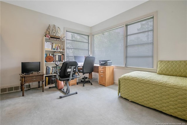 219 Devane St, Fayetteville, NC 28305 - office space featuring light colored carpet and visible vents
