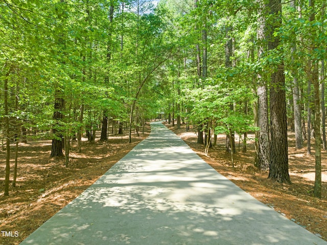 view of property's community