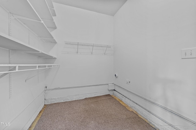 spacious closet featuring carpet flooring