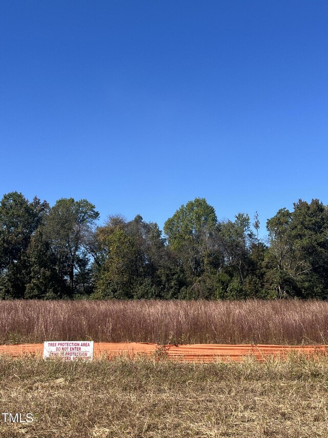 264 Alden Way, Angier, NC 27501 - view of nature