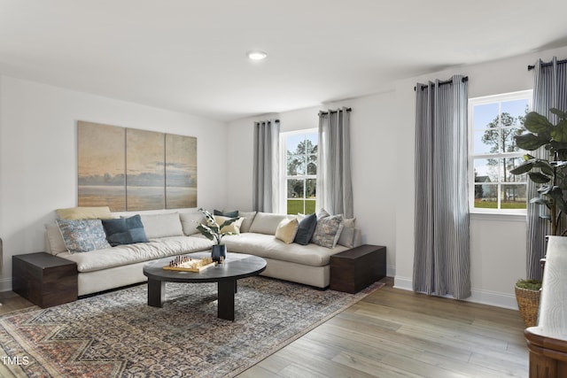 264 Alden Way, Angier, NC 27501 - living room with baseboards, a healthy amount of sunlight, and light wood-style floors