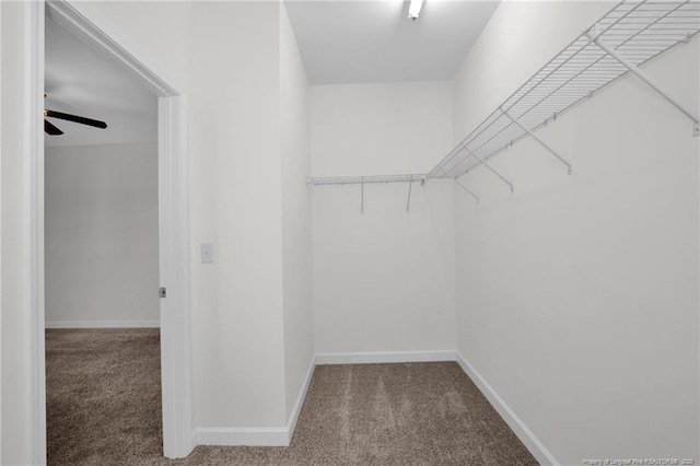 278 Hugh Shelton Loop, Fayetteville, NC 28301 - spacious closet with carpet flooring and a ceiling fan