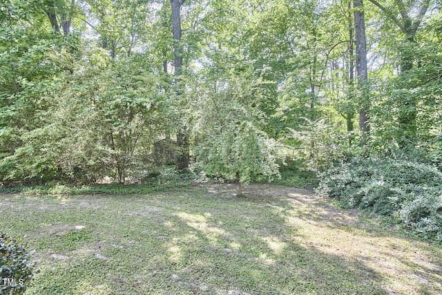 view of yard with a wooded view