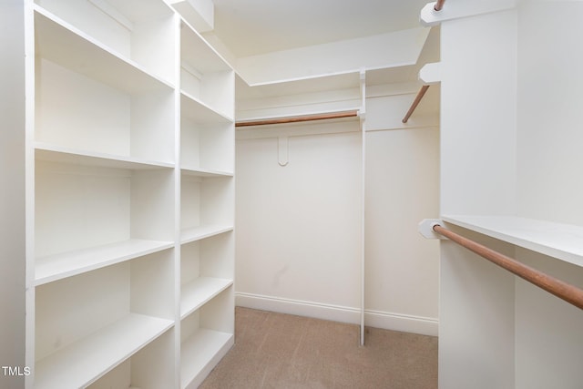 8840 Woodyhill Rd, Raleigh, NC 27613 - walk in closet featuring light carpet