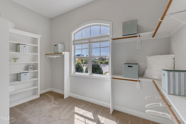 spacious closet with carpet floors