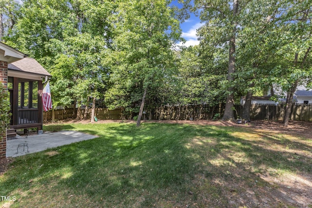 view of yard with a fenced backyard and a patio