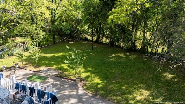 236 E Andrews Ave, Henderson, NC 27536 - view of yard