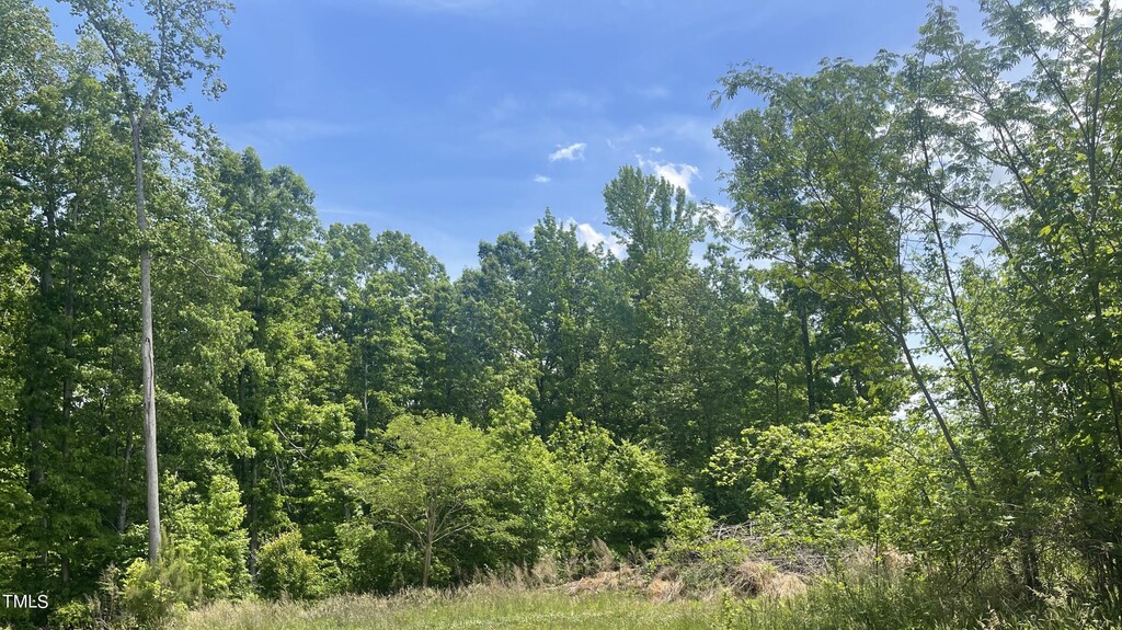 LOT6 Hunters Cir, Rougemont, NC 27572