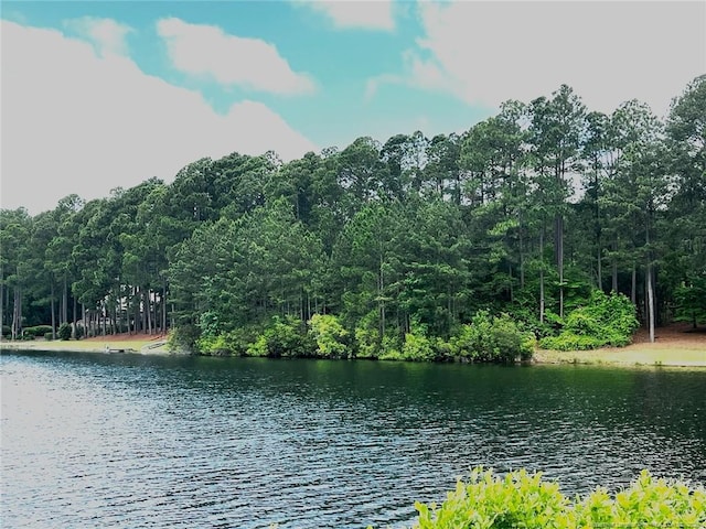13 Abington Dr, Pinehurst, NC 28374 - photo 2