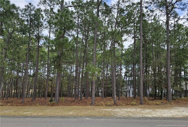 13 Abington Dr, Pinehurst, NC 28374 - photo 5