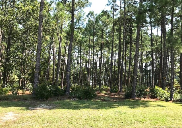 13 Abington Dr, Pinehurst, NC 28374 - photo 6