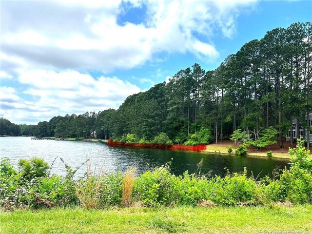 13 Abington Dr, Pinehurst, NC 28374 - photo 10