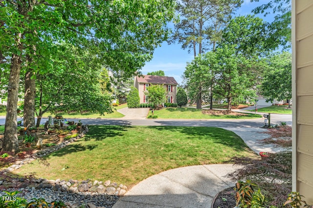 11 Bridgeport Dr, Durham, NC 27713 - view of yard