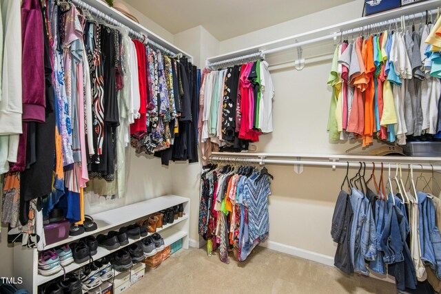 spacious closet featuring carpet