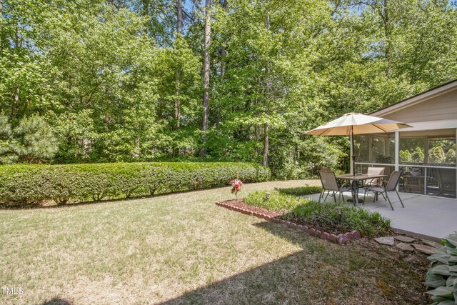 view of yard featuring a patio area