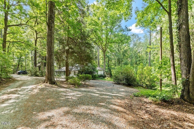 view of street with dirt driveway