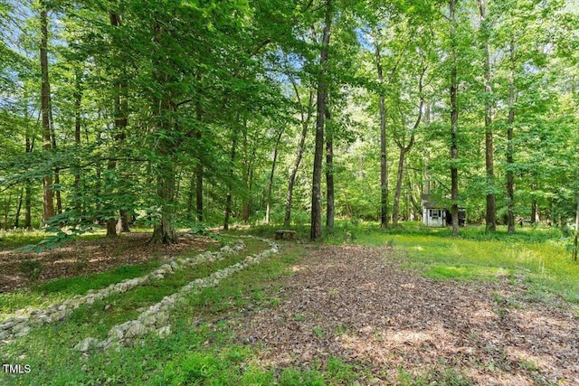 view of yard with an outdoor structure, a shed, and a forest view