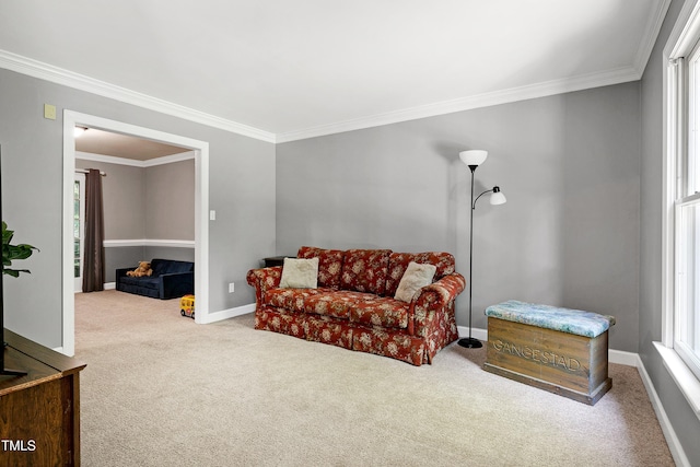 5304 W Oaks Dr, Fuquay Varina, NC 27526 - sitting room featuring carpet floors, ornamental molding, and baseboards