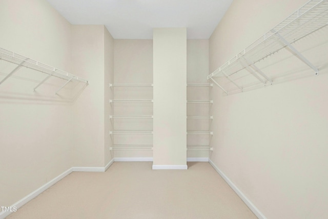 spacious closet with light carpet