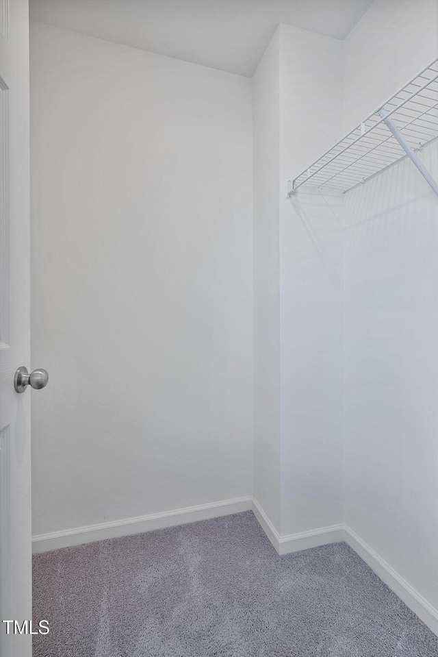 walk in closet with carpet floors