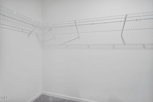 spacious closet with carpet