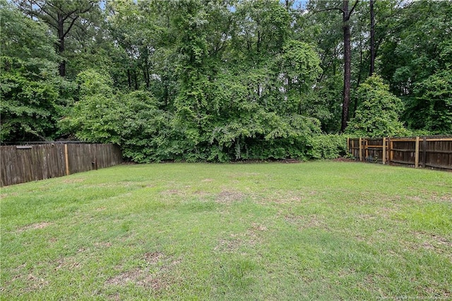 3970 Loufield Dr, Fayetteville, NC 28311 - photo 44