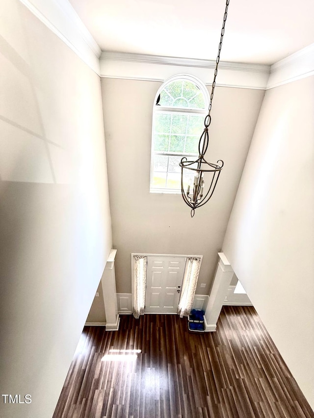 110 Bristolwood Cir, Morrisville, NC 27560 - entrance foyer featuring wood finished floors, baseboards, a chandelier, and ornamental molding