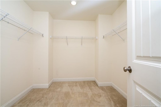 walk in closet featuring light carpet