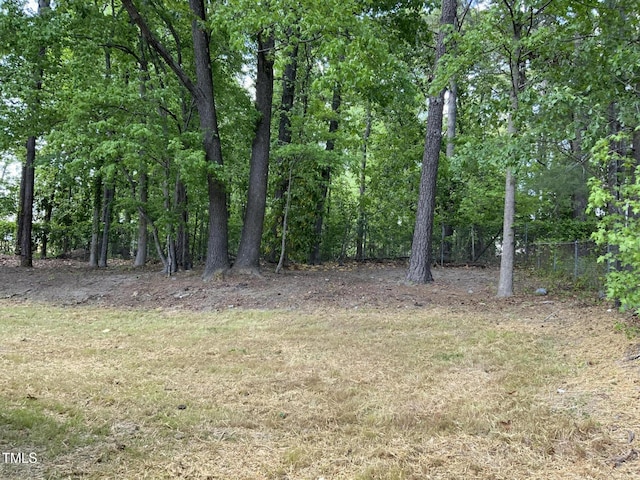 502 Burton St, Fuquay Varina, NC 27526 - view of local wilderness