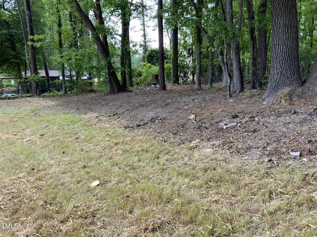 502 Burton St, Fuquay Varina, NC 27526 - view of nature