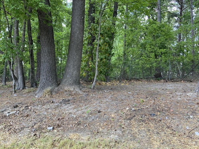 502 Burton St, Fuquay Varina, NC 27526 - view of woods