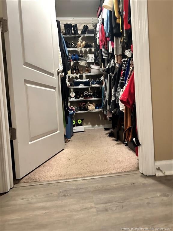 spacious closet featuring wood finished floors
