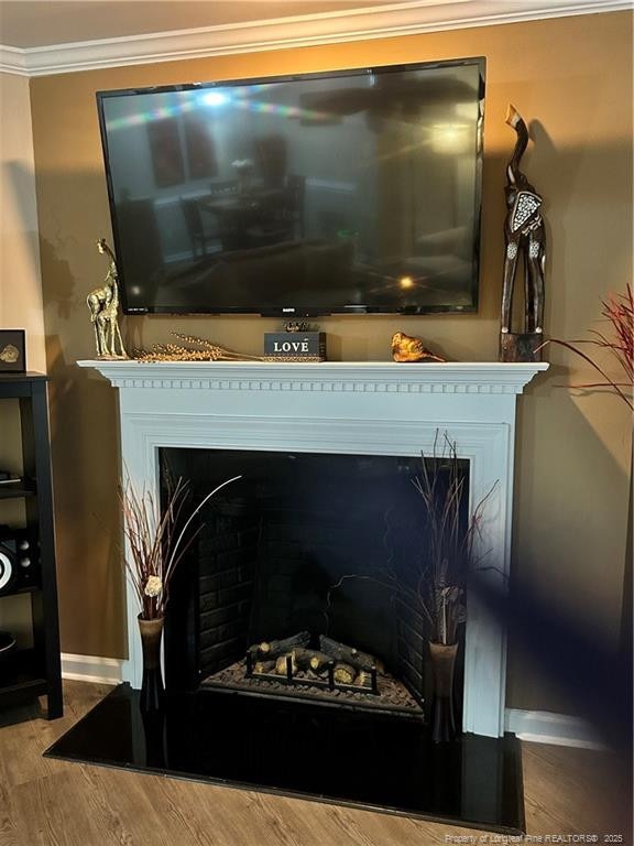details featuring baseboards, a fireplace with flush hearth, ornamental molding, and wood finished floors